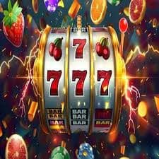 zz661